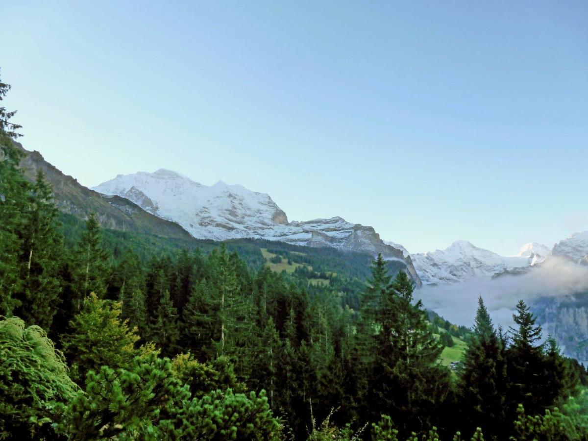 Chalet Zwaergli By Interhome Wengen Luaran gambar