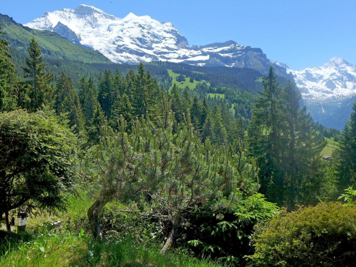 Chalet Zwaergli By Interhome Wengen Luaran gambar