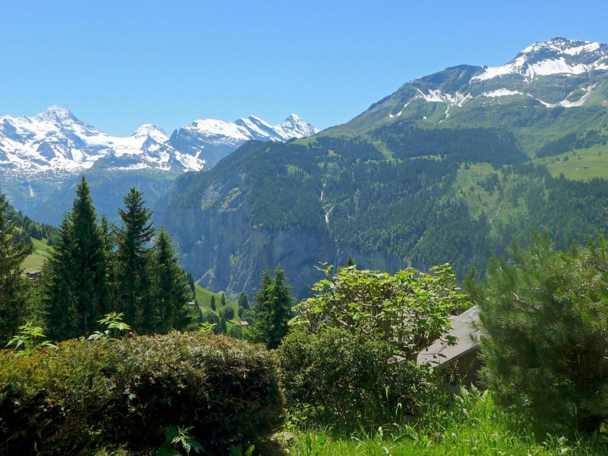 Chalet Zwaergli By Interhome Wengen Luaran gambar